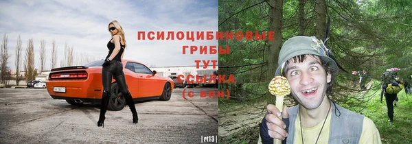метадон Верея